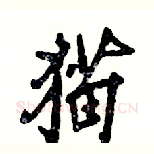 猫
