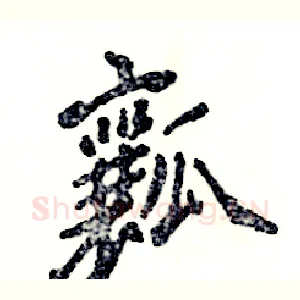 瓤