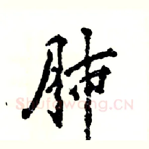肺