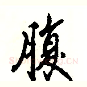 腹