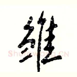 雏