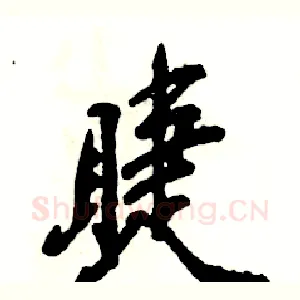 睫