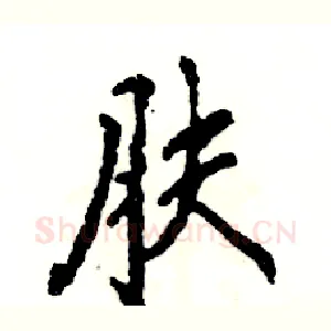 肤