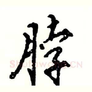 脖