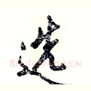 选