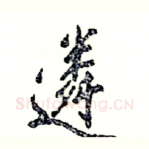 遴