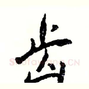 齿