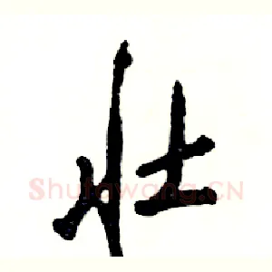 壮