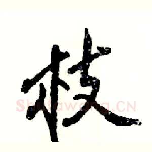 枝