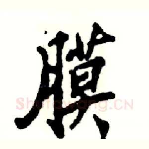 膜