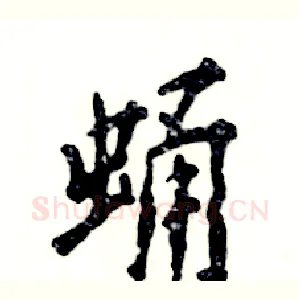 蛹