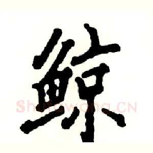 鲸