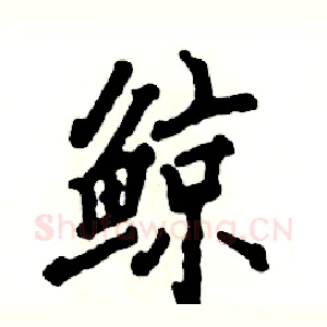 鲸