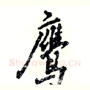 鹰