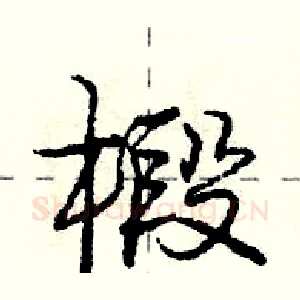 椴