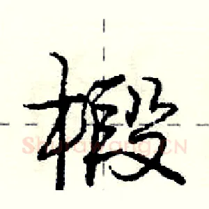 椴