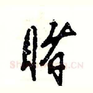 睹