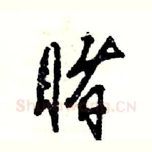 睹