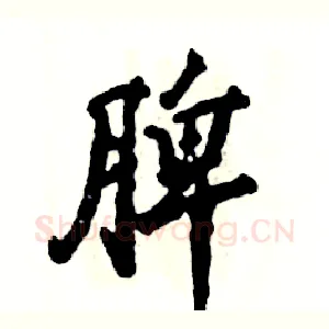 脾