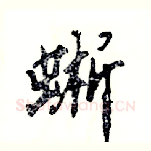蜥