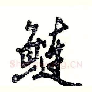 鲢