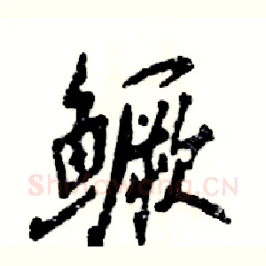 鳜