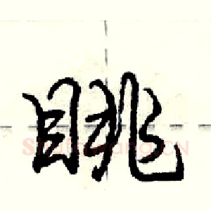 眺