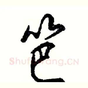 笆