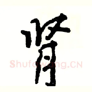 肾