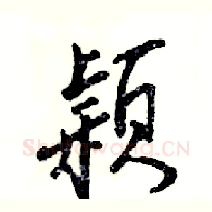 颖