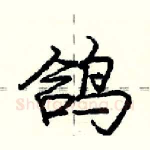 鸽