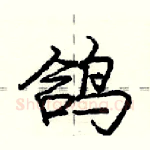 鸽
