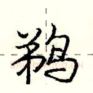 鹈