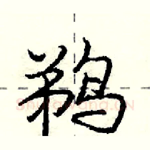 鹈