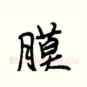 膜