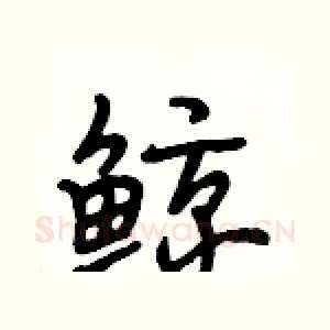 鲸