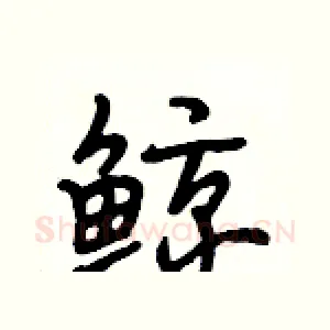 鲸
