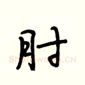 肘