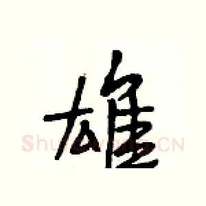 雄