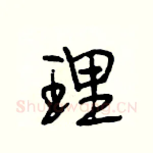 理