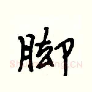 脚