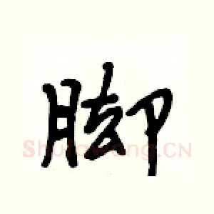 脚