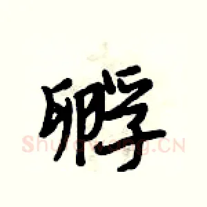 孵