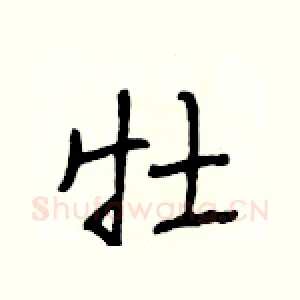 牡