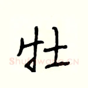 牡