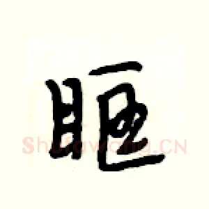 眶