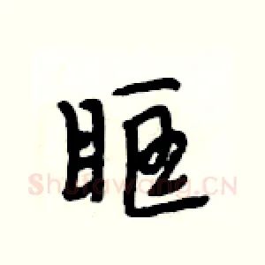 眶