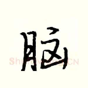 脑