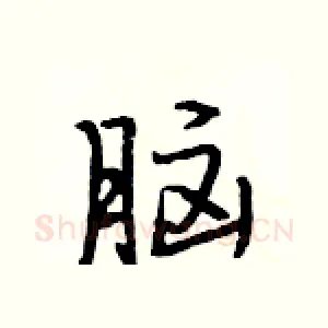 脑