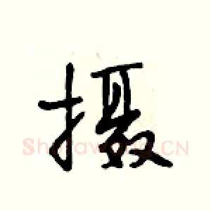 摄